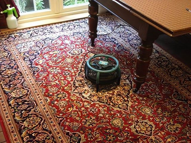rug-cleaning-3-kireth-ai